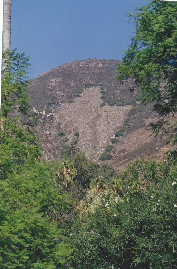 Photo by Nick Cataldo – The Sun